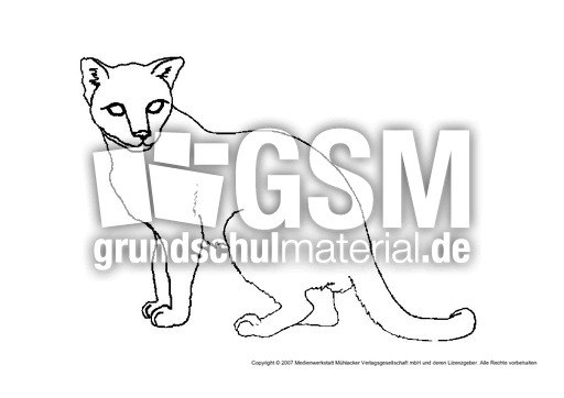 Katze-3.pdf